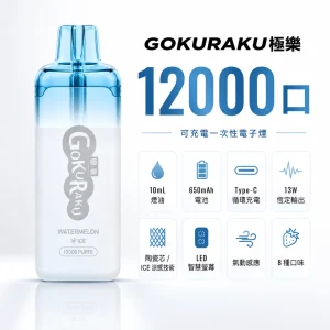 GOKURAKU 極樂 12000口 拋棄式電子煙 ICE冰感